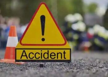 Elderly man killed after being hit by vehicle in Qazigund