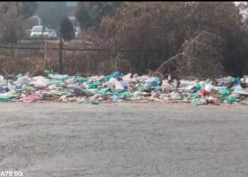 Mounds of Garbage Along Railway Road Qazigund Irk Residents; RDD Block Devsar Accused of Apathy