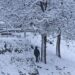 MeT predicts snowfall across J&K till Jan 1