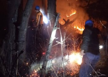 Massive Forest Fire Erupts in Kulgam Forest Areas, Efforts On to Control Blaze