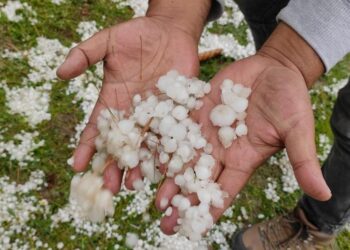 Hailstorm Ravages Apple Blossoms, Crops in Kulgam Parts