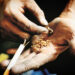 Major Drug Bust in Kokernag: 4.4 Kg Charas Seized, Peddler Arrested in Anantnag