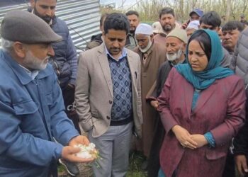 “Govt Stands Firmly with Farmers, Losses to be Compensated Fairly”: Sakeena Itoo Visits Hailstorm-Hit Kulgam Villages