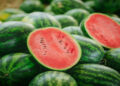Scientists uncover surprising health benefits of watermelon: Study