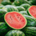 Scientists uncover surprising health benefits of watermelon: Study