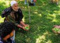 Fake, Sub-Standard Pesticides Push Shopian Farmers to Brink; Agriculture Department Starts Crackdown