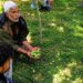 Fake, Sub-Standard Pesticides Push Shopian Farmers to Brink; Agriculture Department Starts Crackdown
