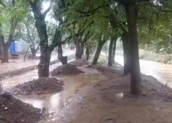 Flash Floods Triggered by Heavy Rains in Brennaar Nallah; Several Areas Affected in Sopore