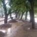 Flash Floods Triggered by Heavy Rains in Brennaar Nallah; Several Areas Affected in Sopore