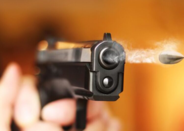One Non-Local Worker Killed, Another Injured in Kulgam Firing