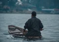 Dal Lake loses its native fish diversity, species count falls from 14 to 8: Survey