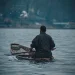 Dal Lake loses its native fish diversity, species count falls from 14 to 8: Survey